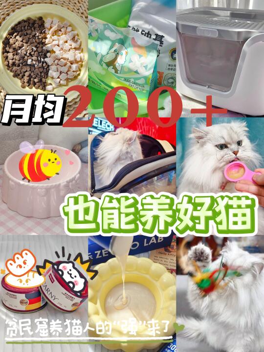 听我说 月均200+也能养出健壮小咪