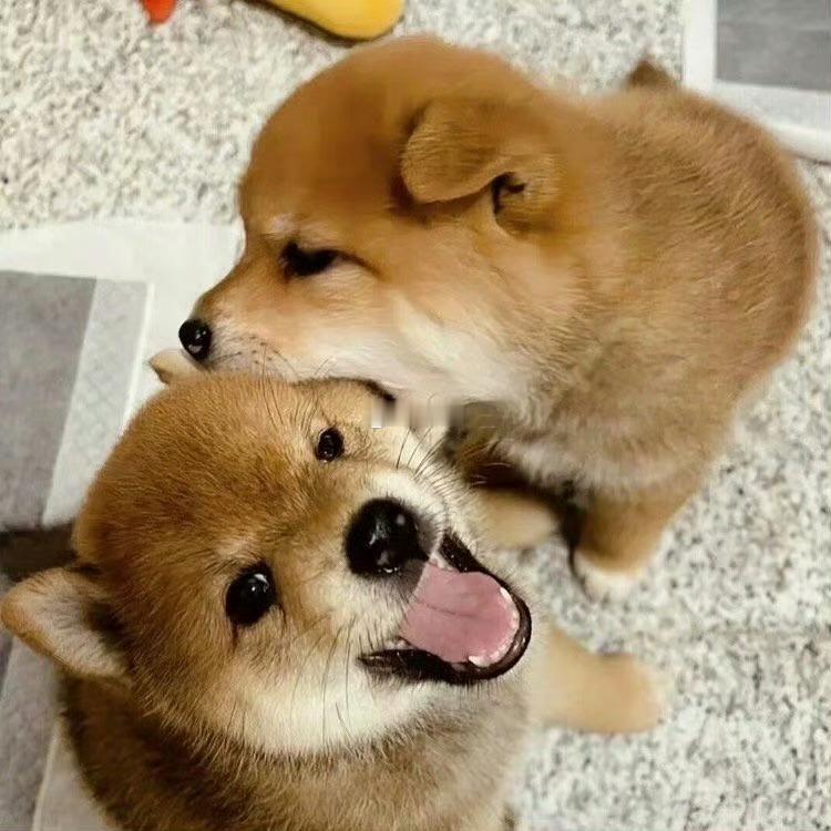 告诉你个好消息，三天内有财运到来！ 