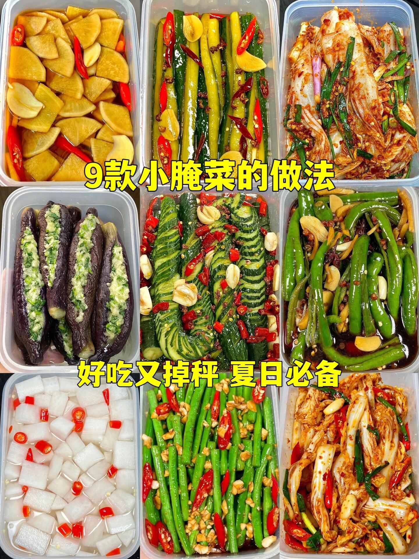 9款小腌菜的做法✅好吃又掉秤🤩夏日必备 ​​​