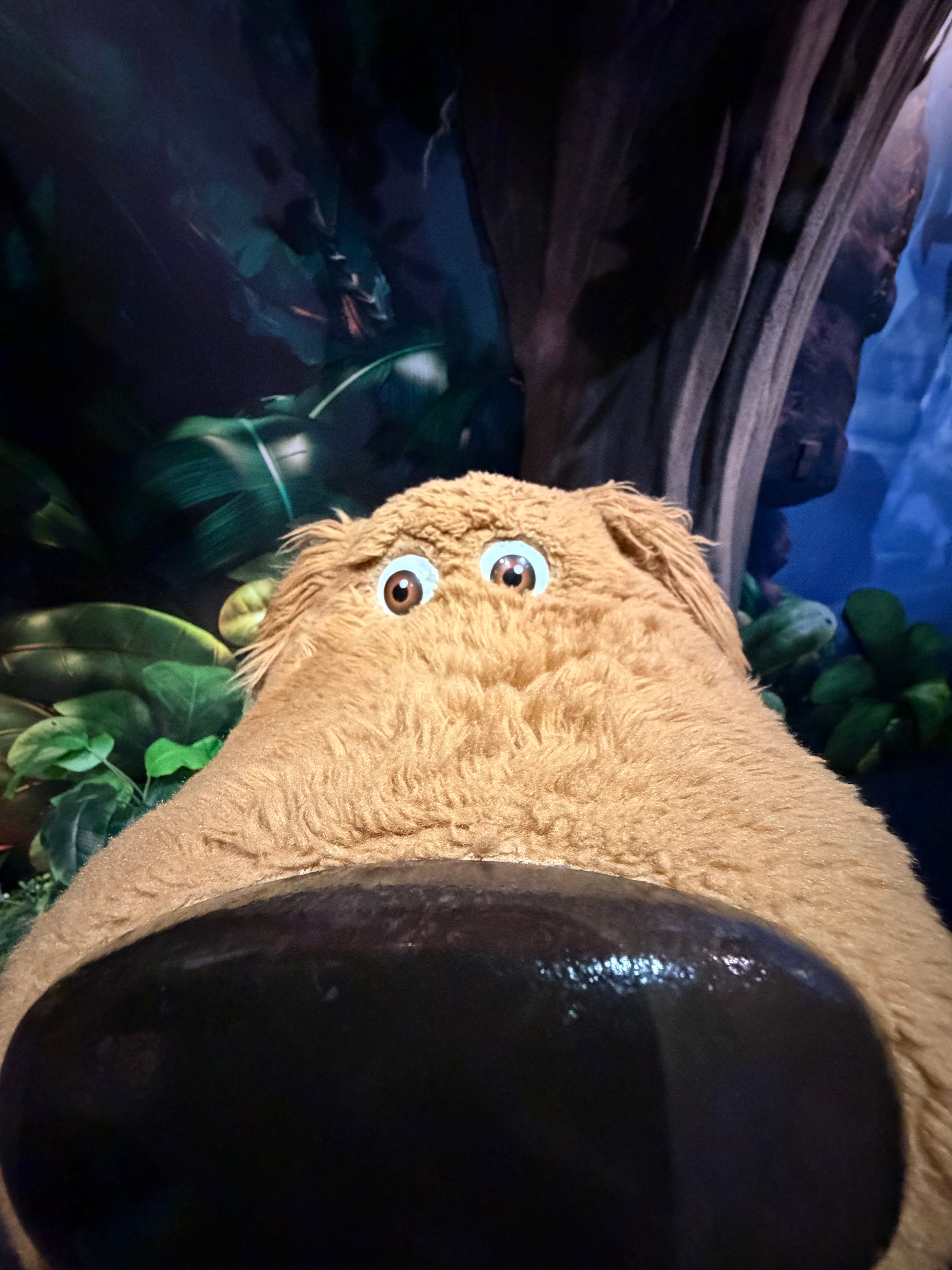 hiii 