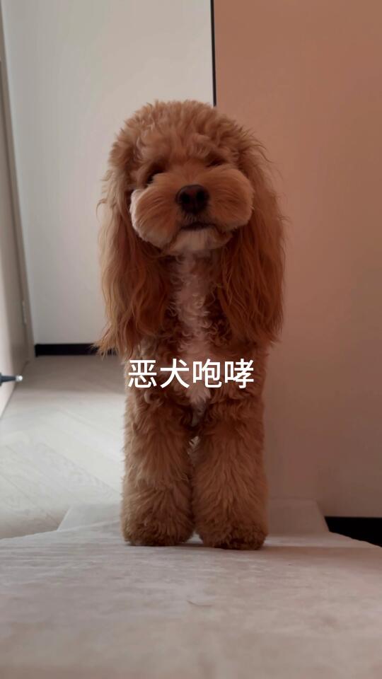 你能不能学小斗晚睡早起