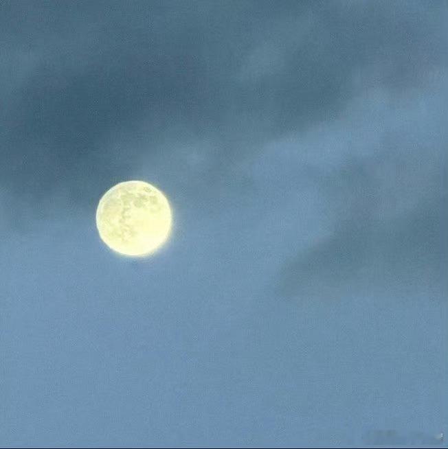 陈哲远 🪴阳光‬‬信用‬ 🪴每日一善️ 🌿 善待他人，是在自己的生命里种下