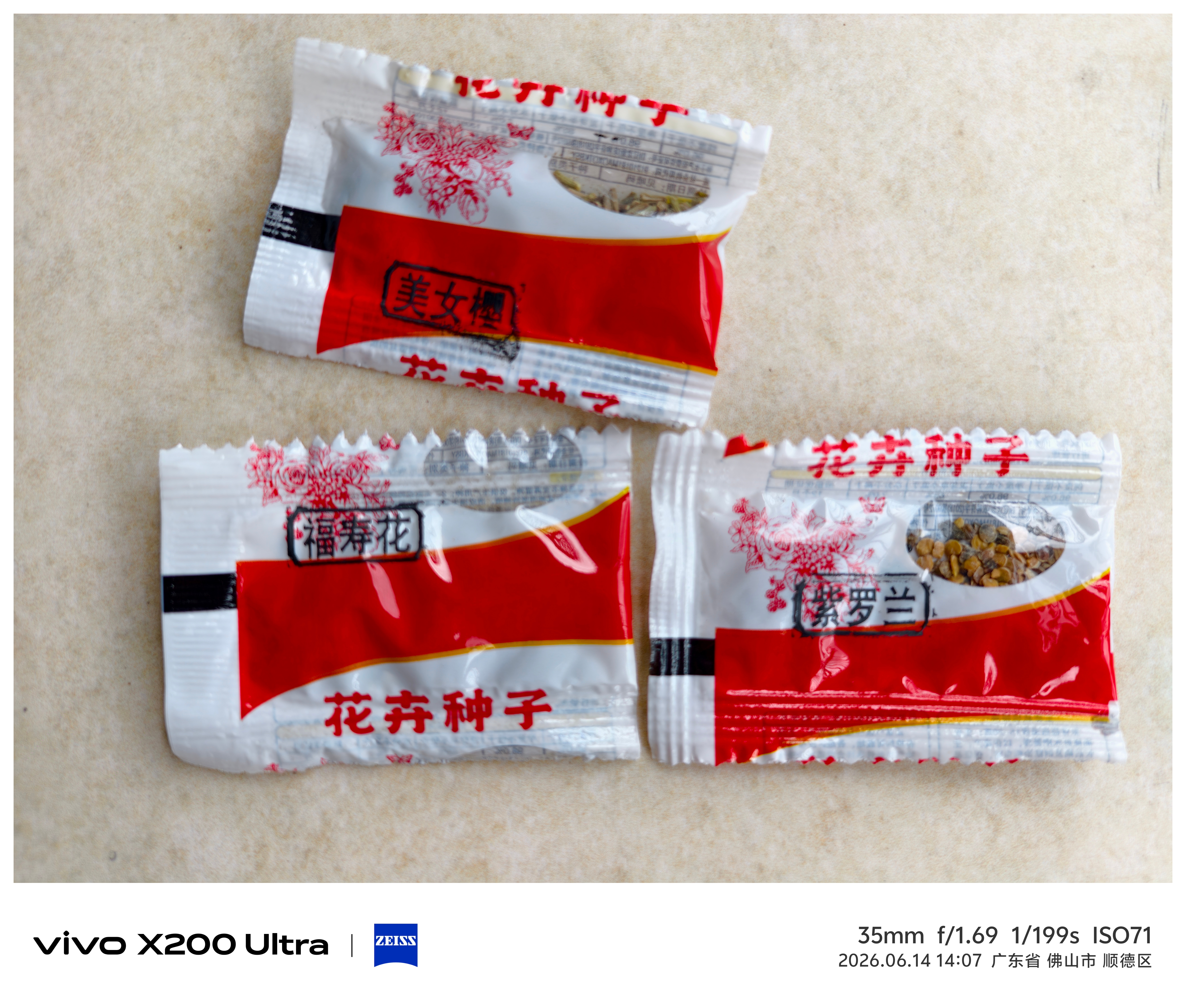 秋夏秋冬已收到，每个花盆都撒下美人樱、福寿花和紫罗兰的种子！摄影花草花花草草花草