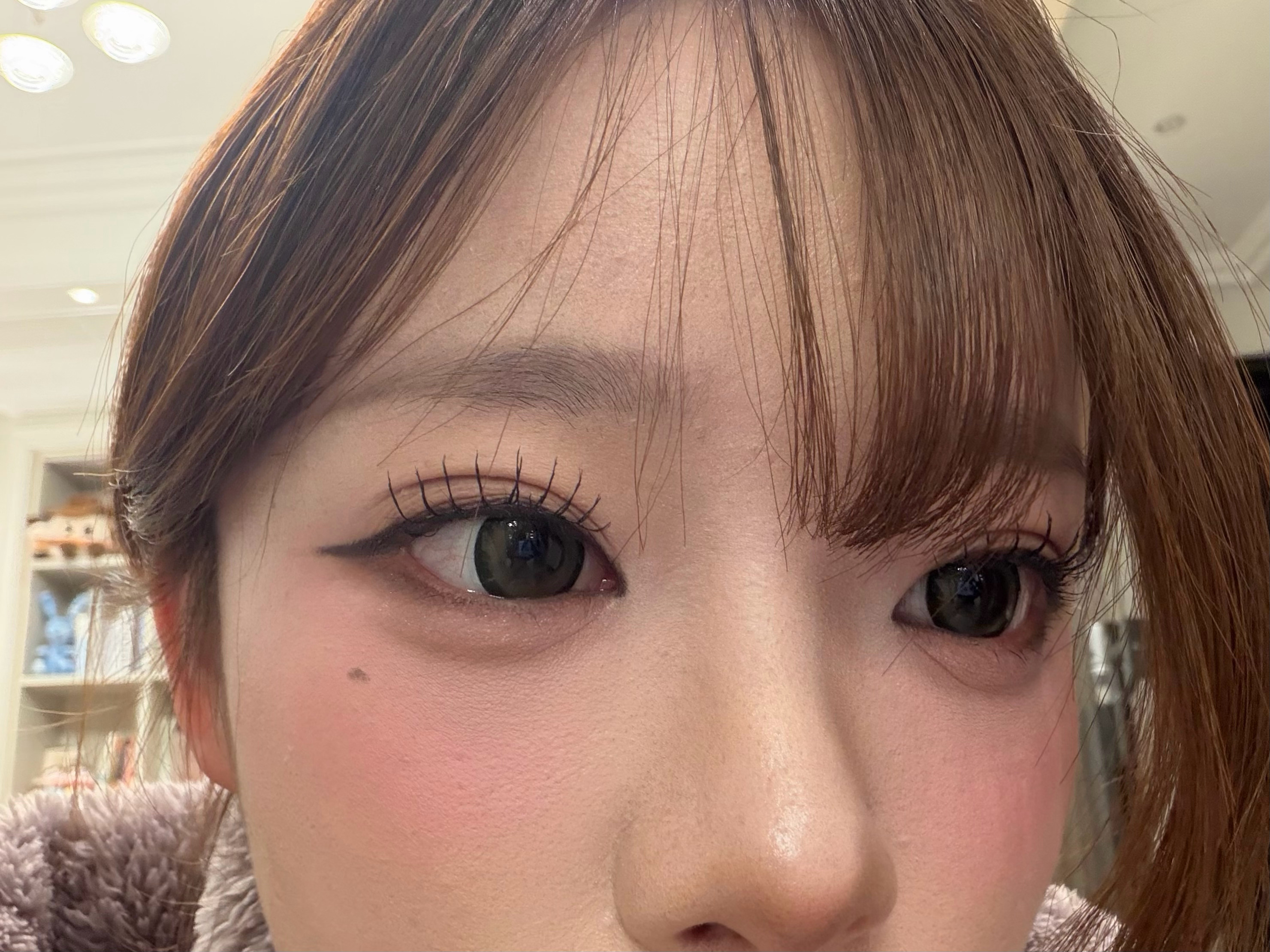 我错了上次视频说oy买的睫毛不好用 今天突然觉得好好用蚊子视角好萌近期最爱菜 m