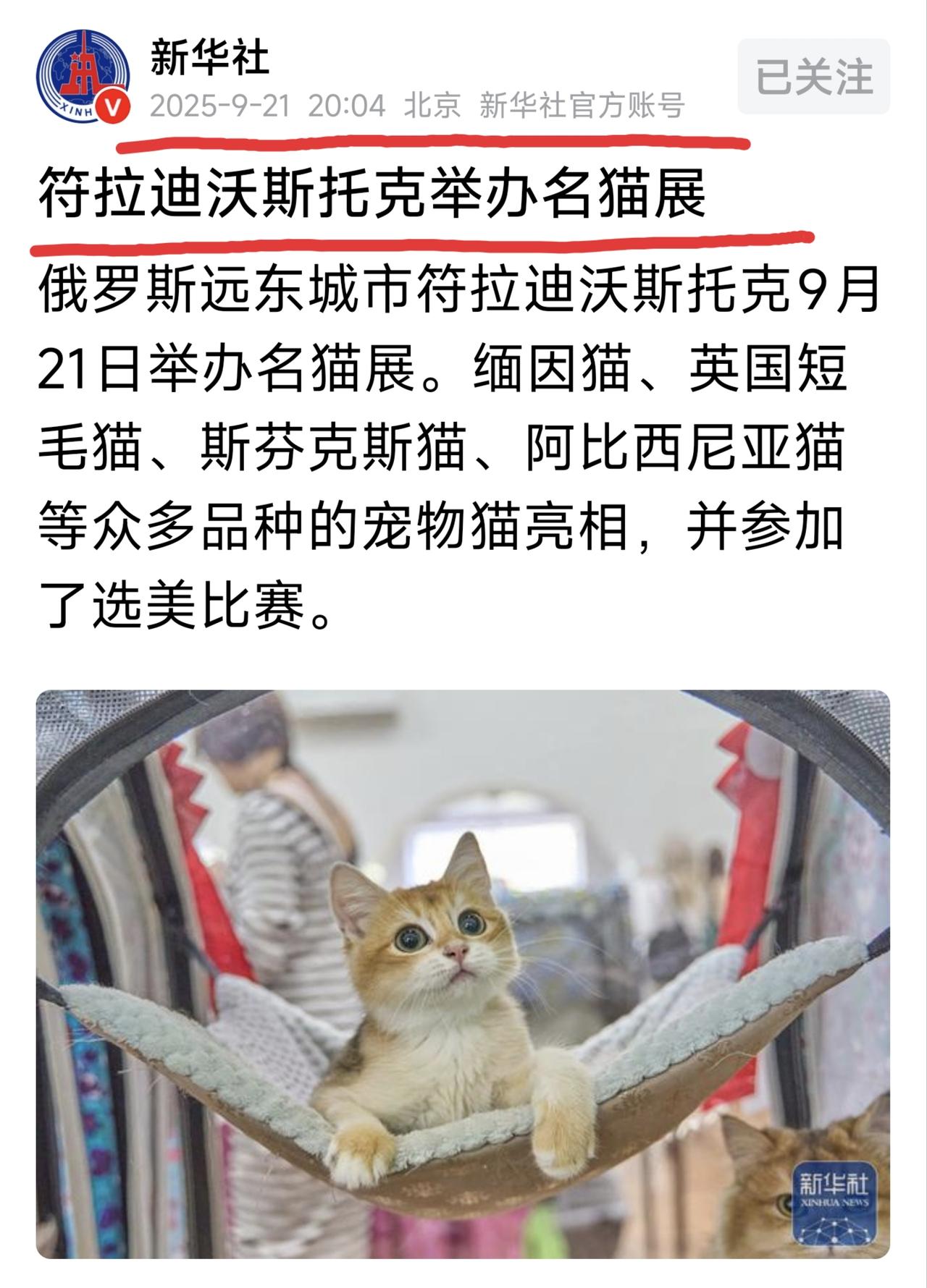 【[烟花]新世纪之2257】
你​没有看错，这是去年9月21日在今日头条公众号上