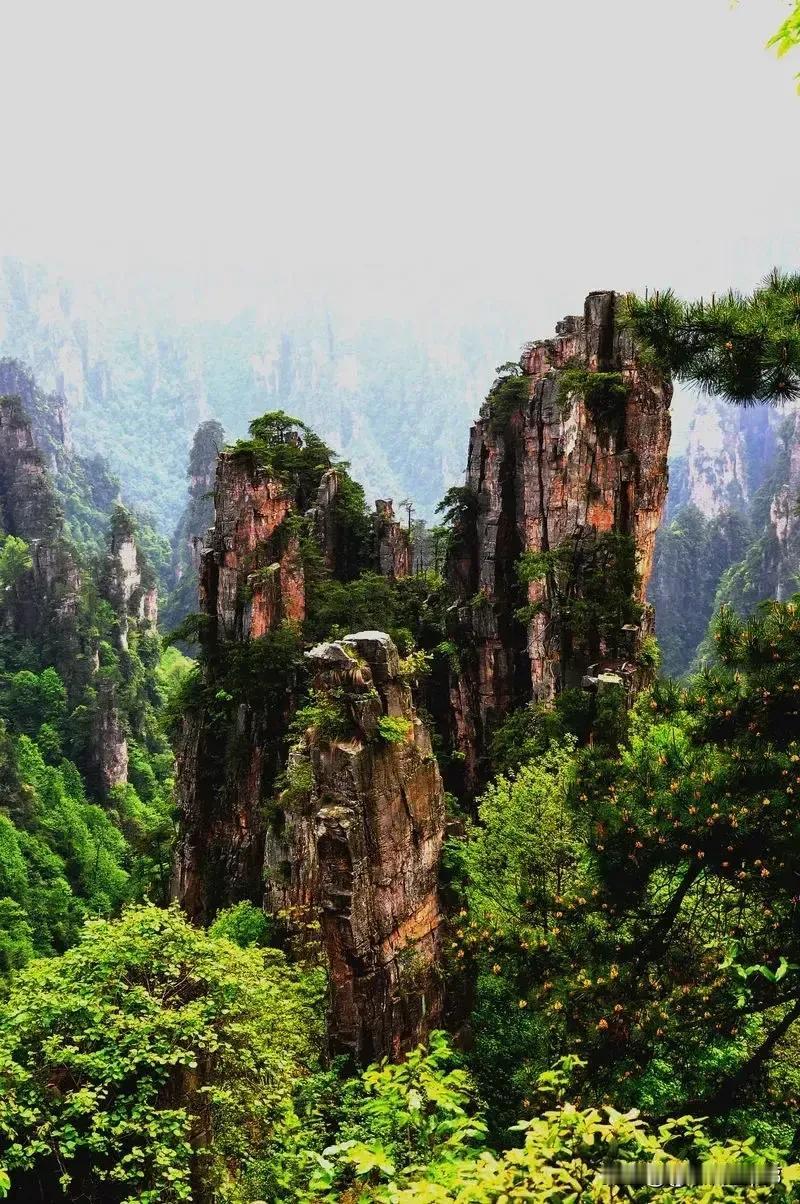 1.假期_就是心心念念地跑出来，过几天又心心念念地想回家。
2.假期_就是花光了