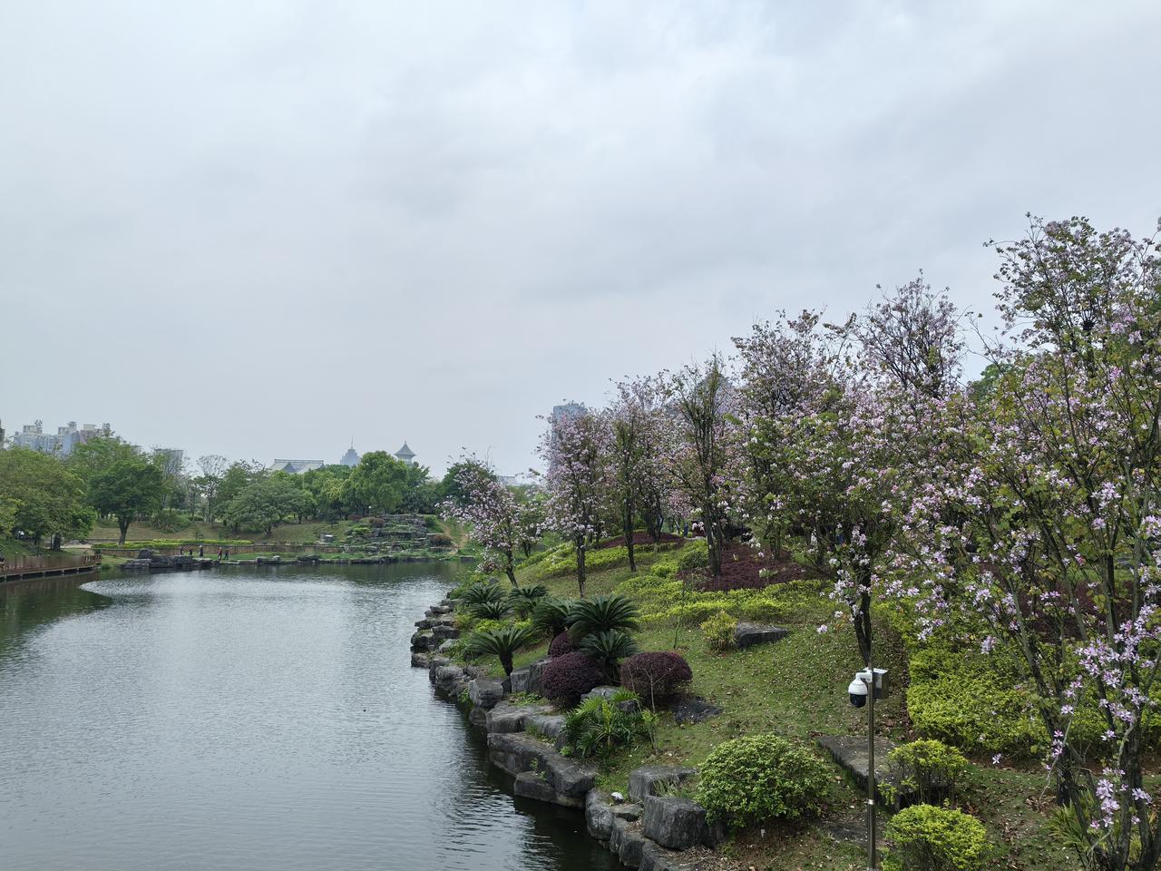 现在得癌症的人越来越多了
有个朋友的妈妈好多年前得乳腺癌已经治好了。
有个叔叔得