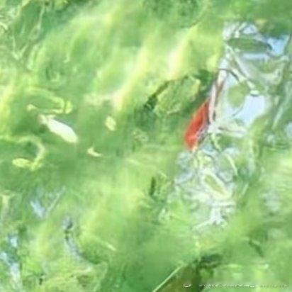 每日一善每日一善 阳光信用每一个人，都应该用你们的努力去惊艳时光，生活不会亏待任