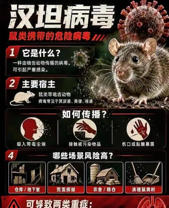 下船第二天，邮轮就暴发致命病毒。这个四川男人的反应，比“幸运”更狠。

3月31