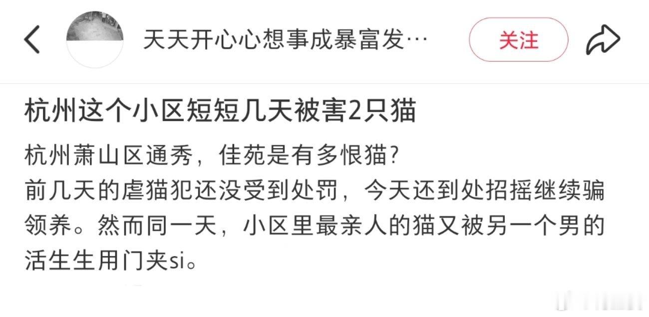 -那么大的一个人为什么要跟小猫过不去啊？？太离谱了！！希望可以引起重视并及时处理