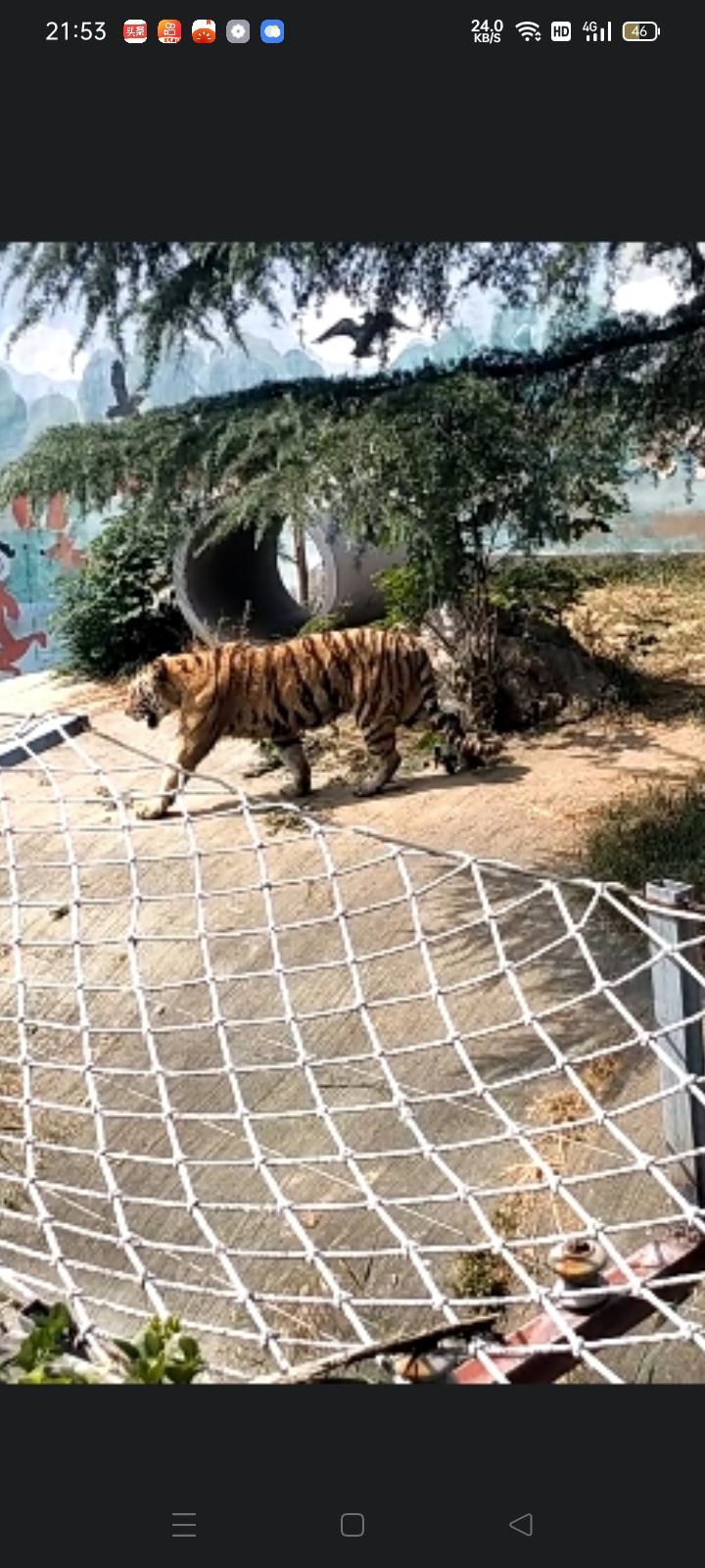 呀呀呀呀呀呀，这只小猫在哪捡的呀？我也想去捡一只来抓耗子呢😆