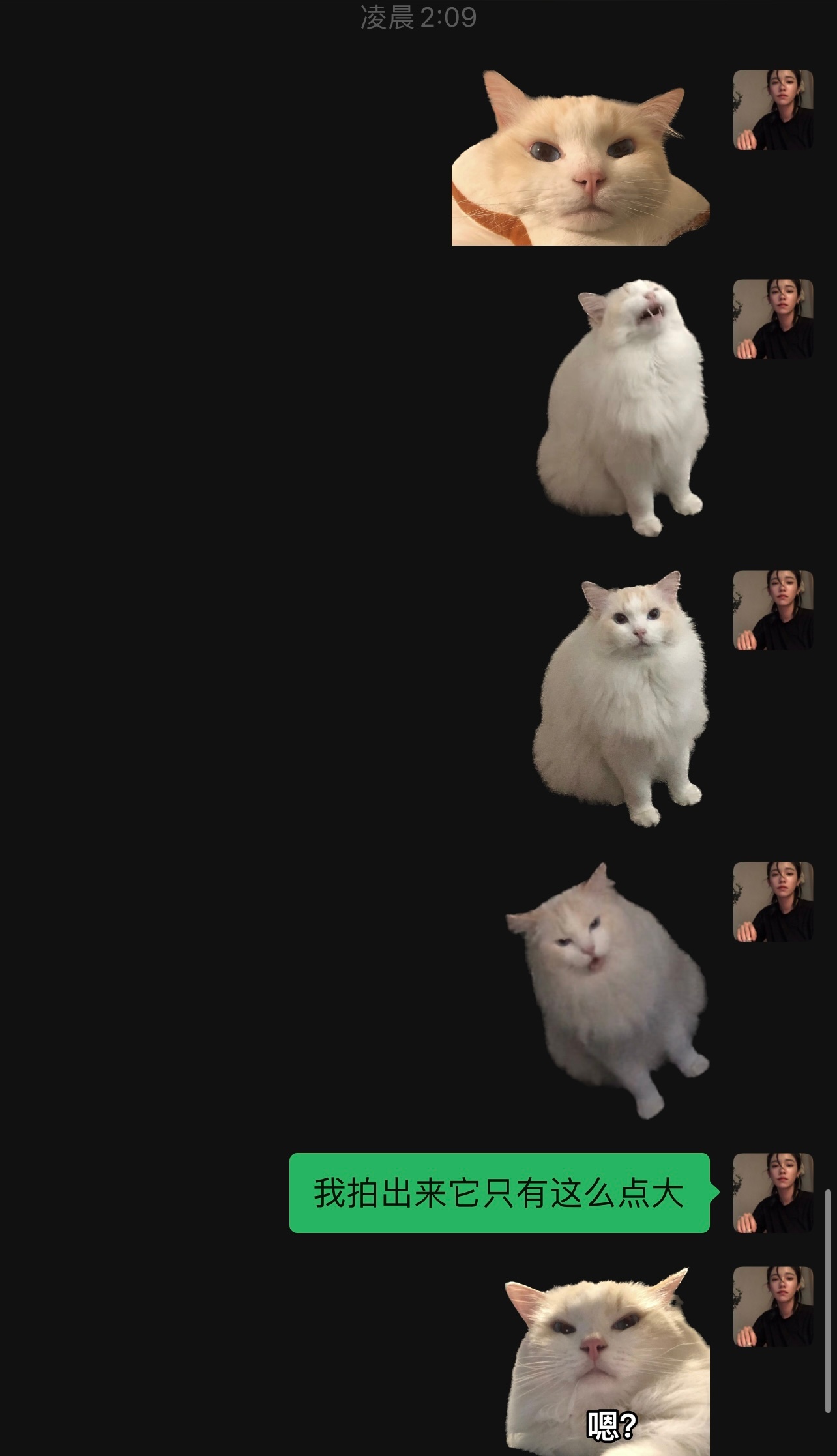 我拍我猫 vs 我朋友拍我猫 ​​​