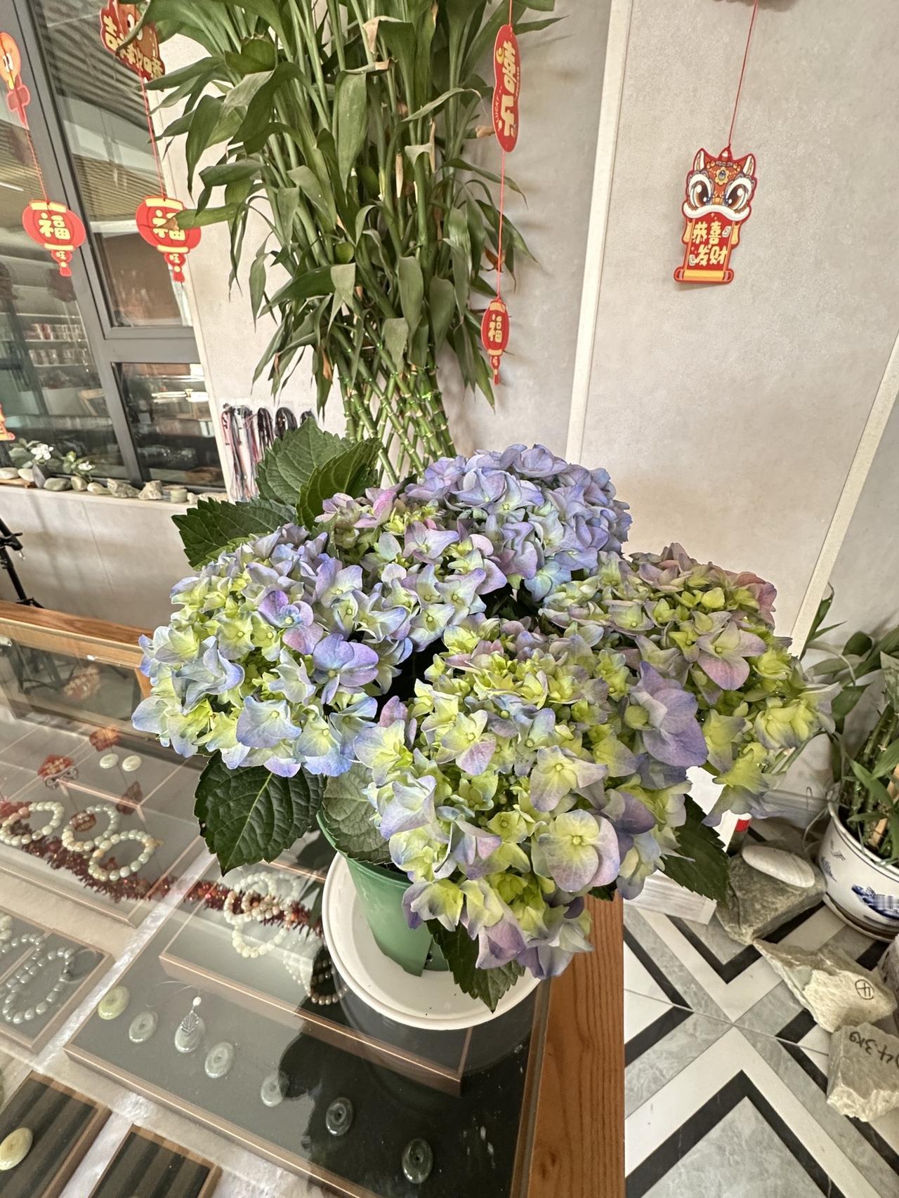 感受到了春天的温暖！