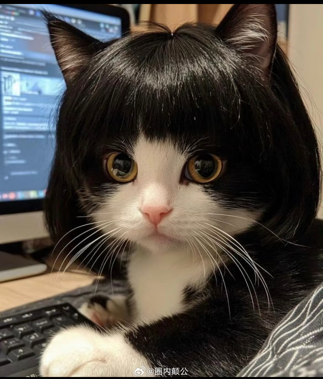 好久不见赵丽颖好像🐱🐈⬛ 