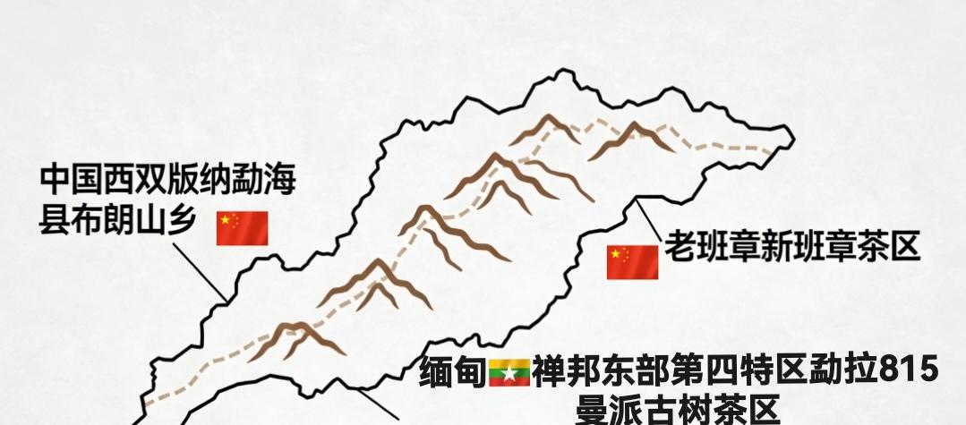 缅甸🇲🇲815古树茶2026年春
很少人知道的好茶🍃           