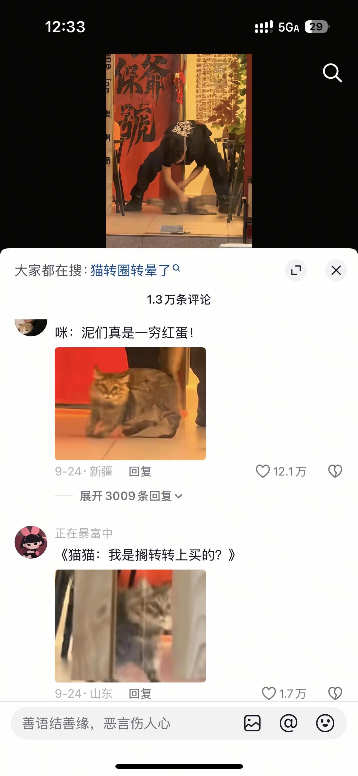猫拖把