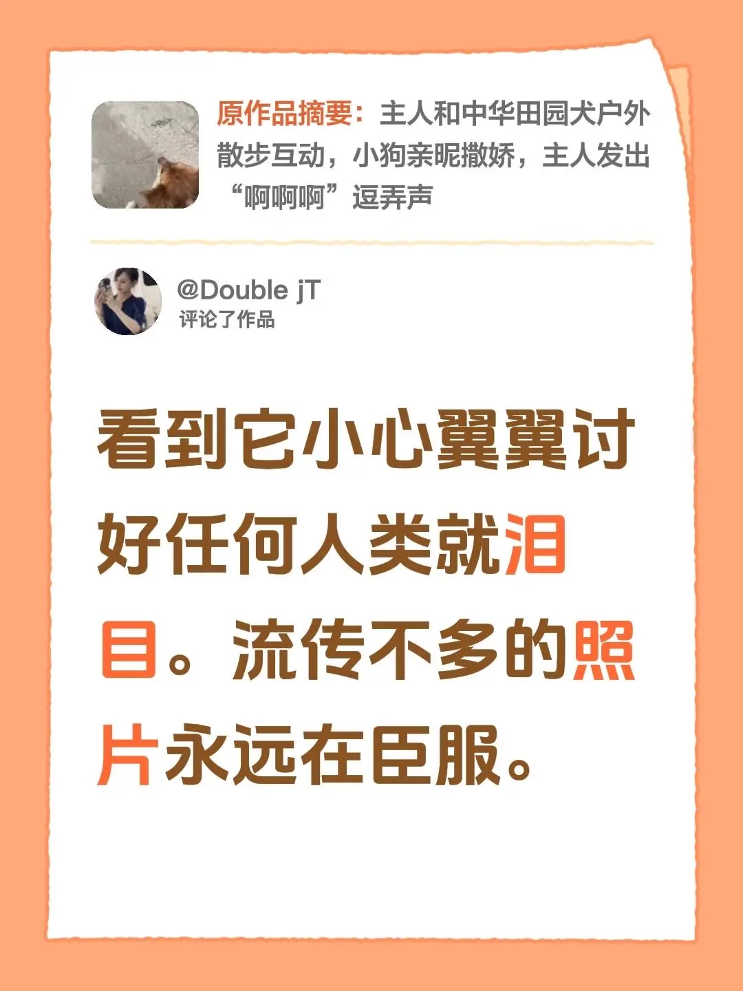 我评论了 的作品： 看到它小心翼翼讨好任何人类就泪目。流传不多的照片永...