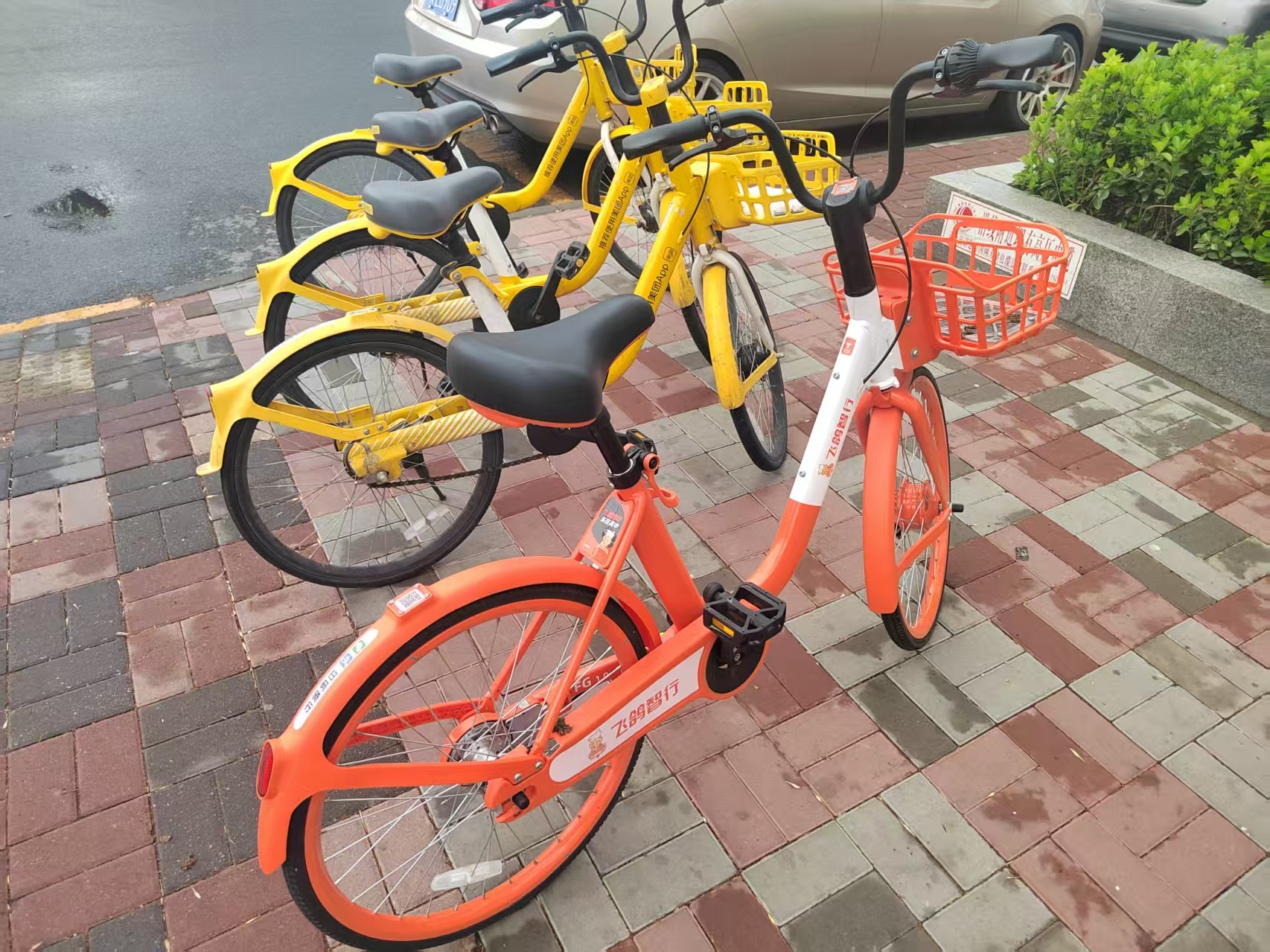 i人不要扫这个共享单车 天天家和单位两点一线，难得今天进一回市里，有幸接连看到好