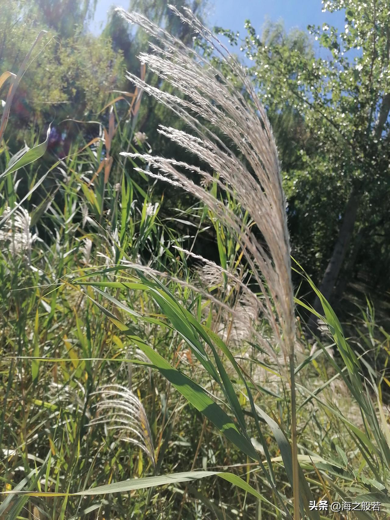北京今日（10月2日）晴转多云，11‑22℃，昼夜温差大，明天有小雨，之后转为晴