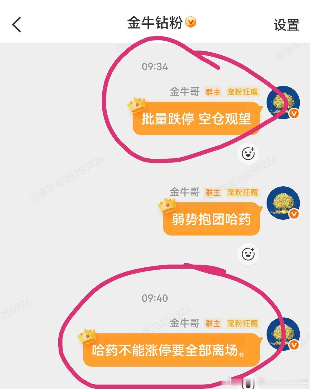 空仓观望中 