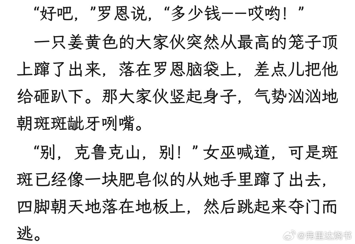 我喜欢克鲁克山亮相第一幕就是跳到罗恩的脑袋上给了他一个下马威😌克鲁克山简直就像