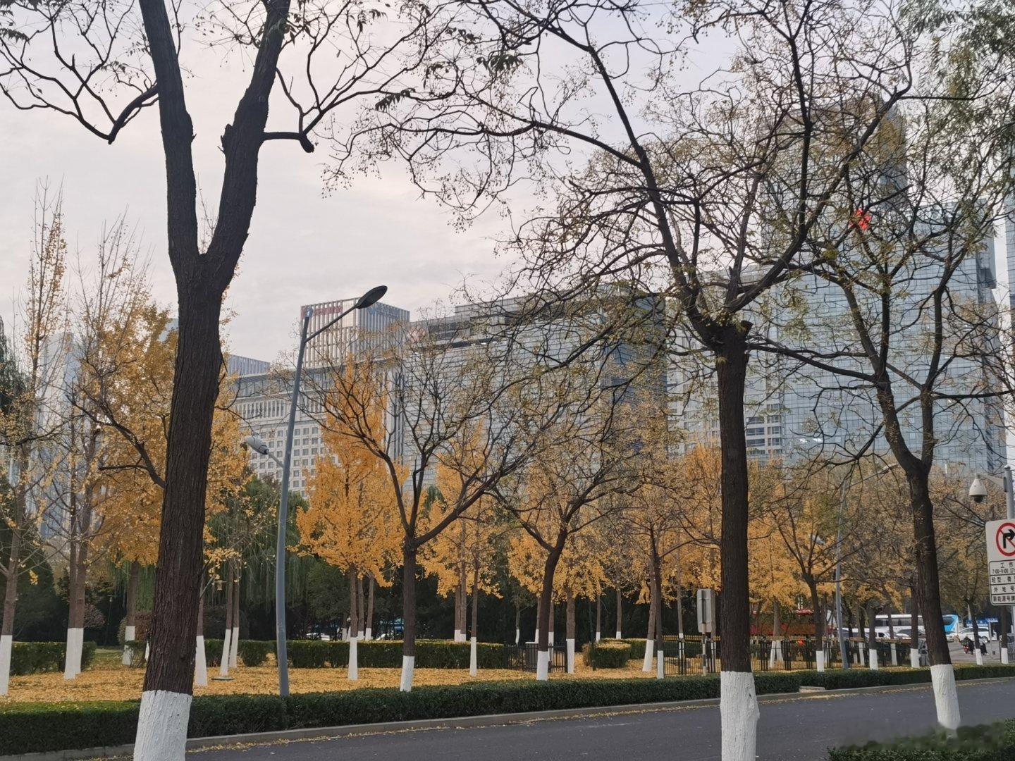 泰山队是否依旧是球员心中的理想之选？转会期球队四处引援之际，便有人造谣生事，宣称