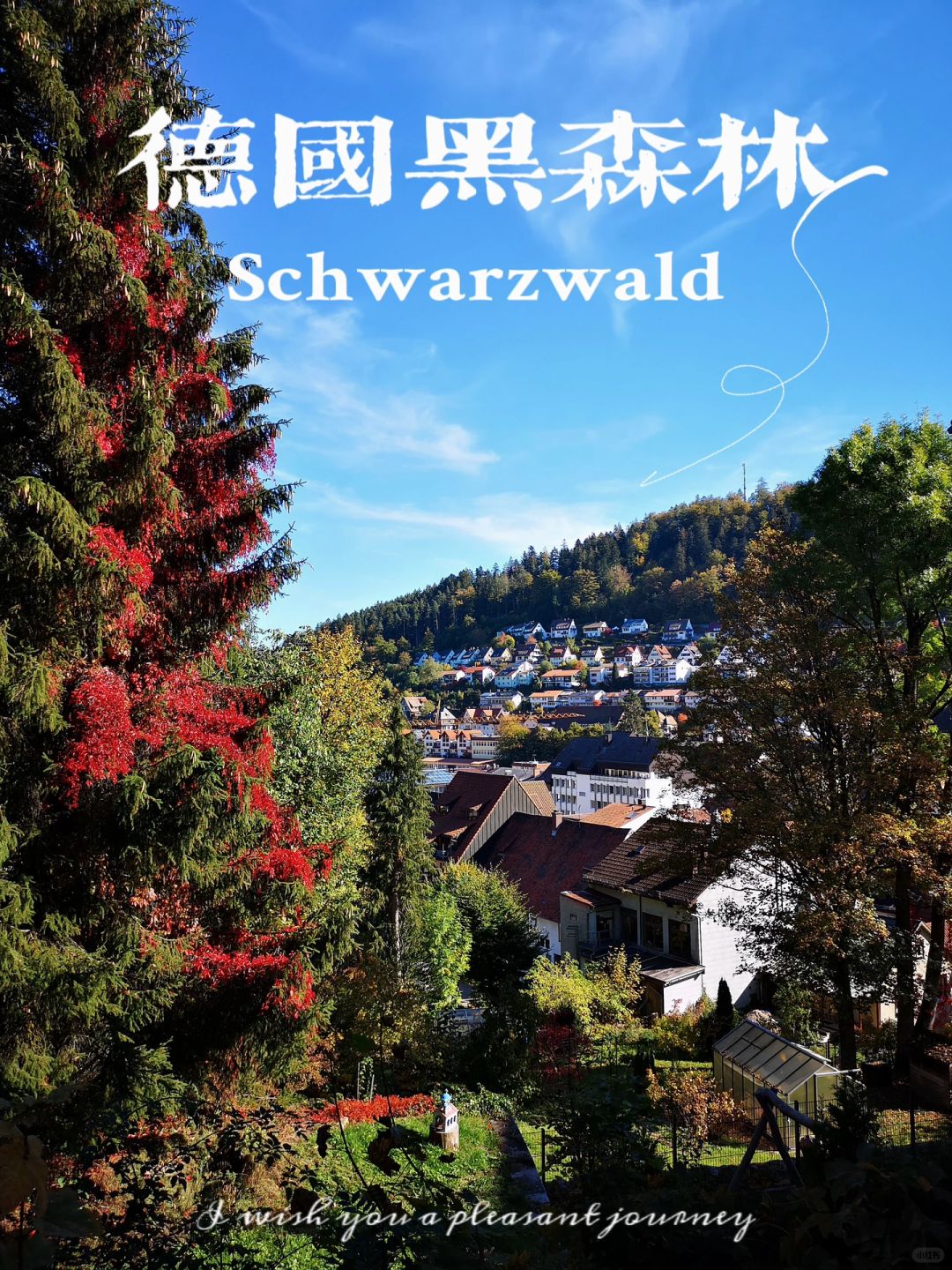 黑森林旅行🎄德国的小众自然宝藏与童话风情