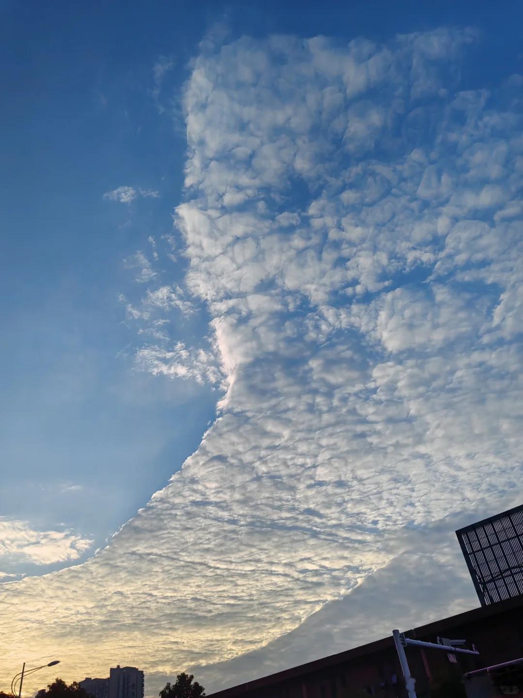 老打嗝根源非胃，嗳气常伴，经前加剧，兼手脚凉、痛经。湘雅诊慢性胃炎，服益生菌效微