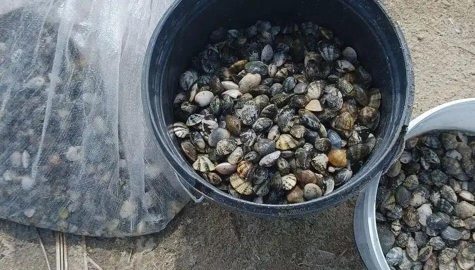 两个中国大妈在希腊摊上事了。一个 61，一个 54，在希腊北边一个叫安菲波利港的