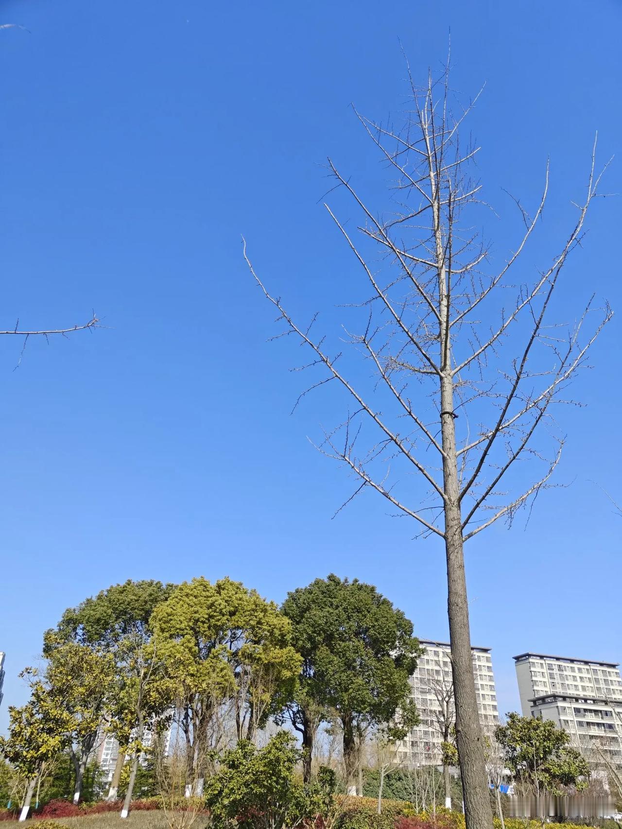 城市天空