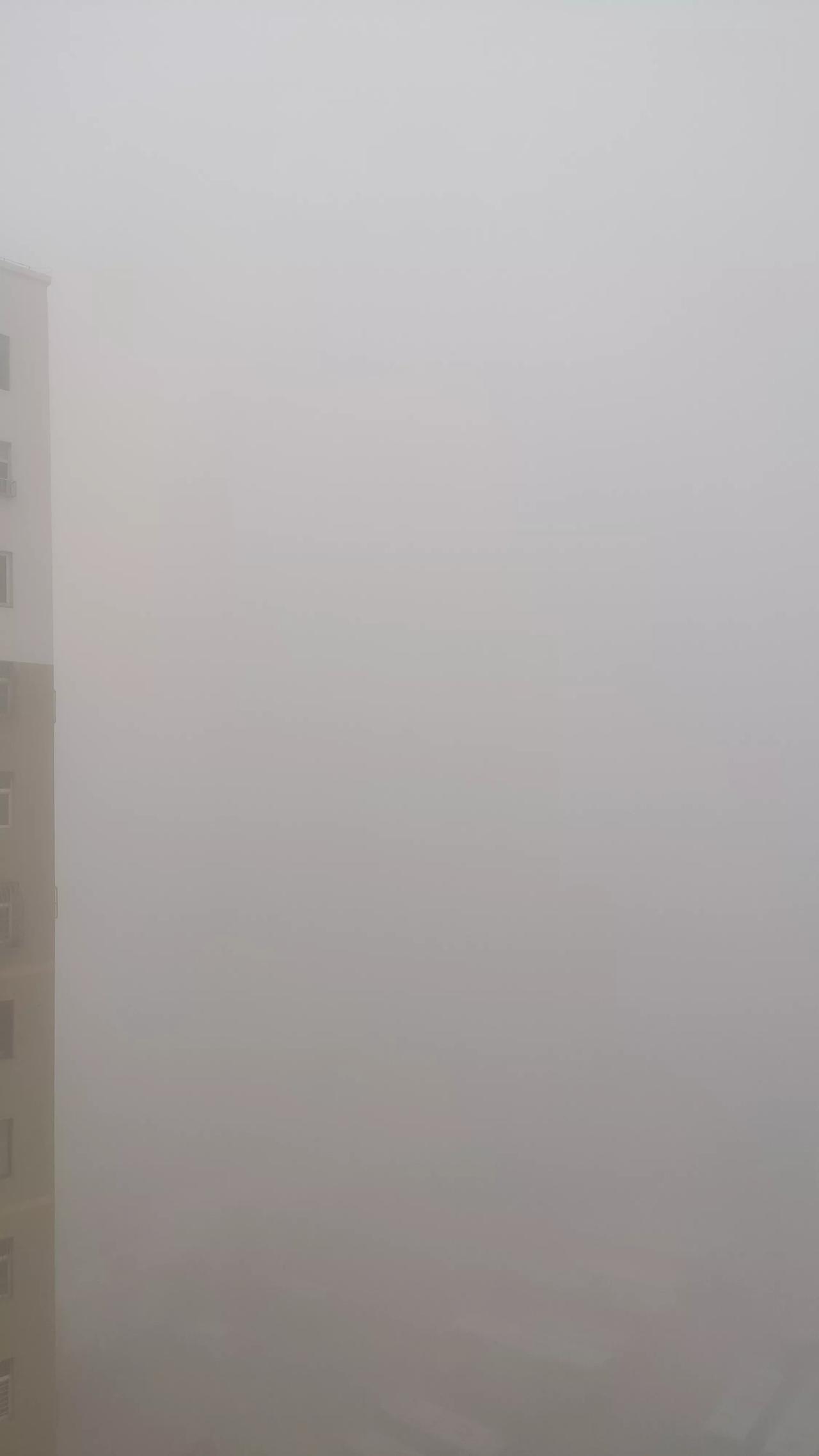 世界暂时静音，躲在雾里喘口气。