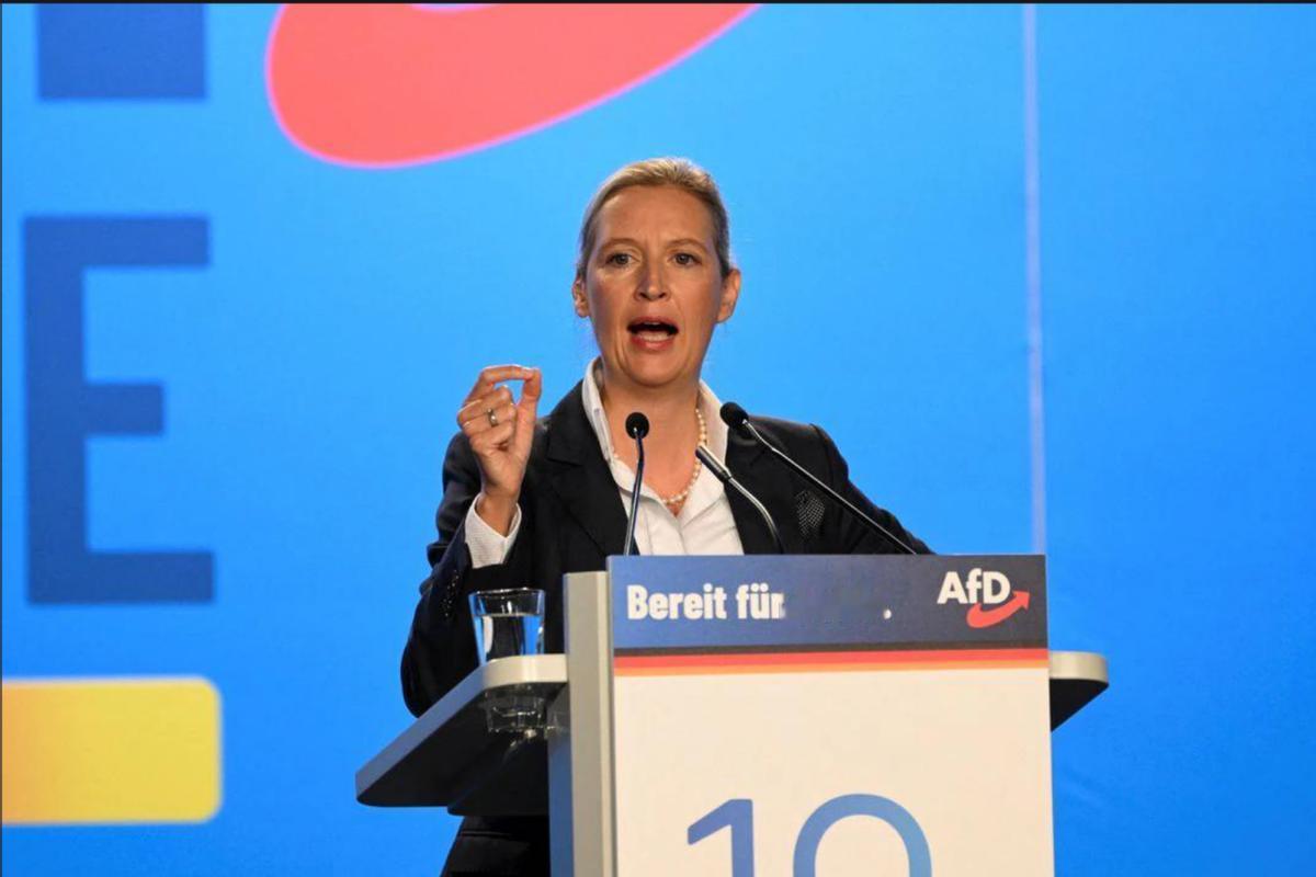 德国选择党崛起
德国选择党11月29日在德国西部城市吉森举行代表大会，成立该党青