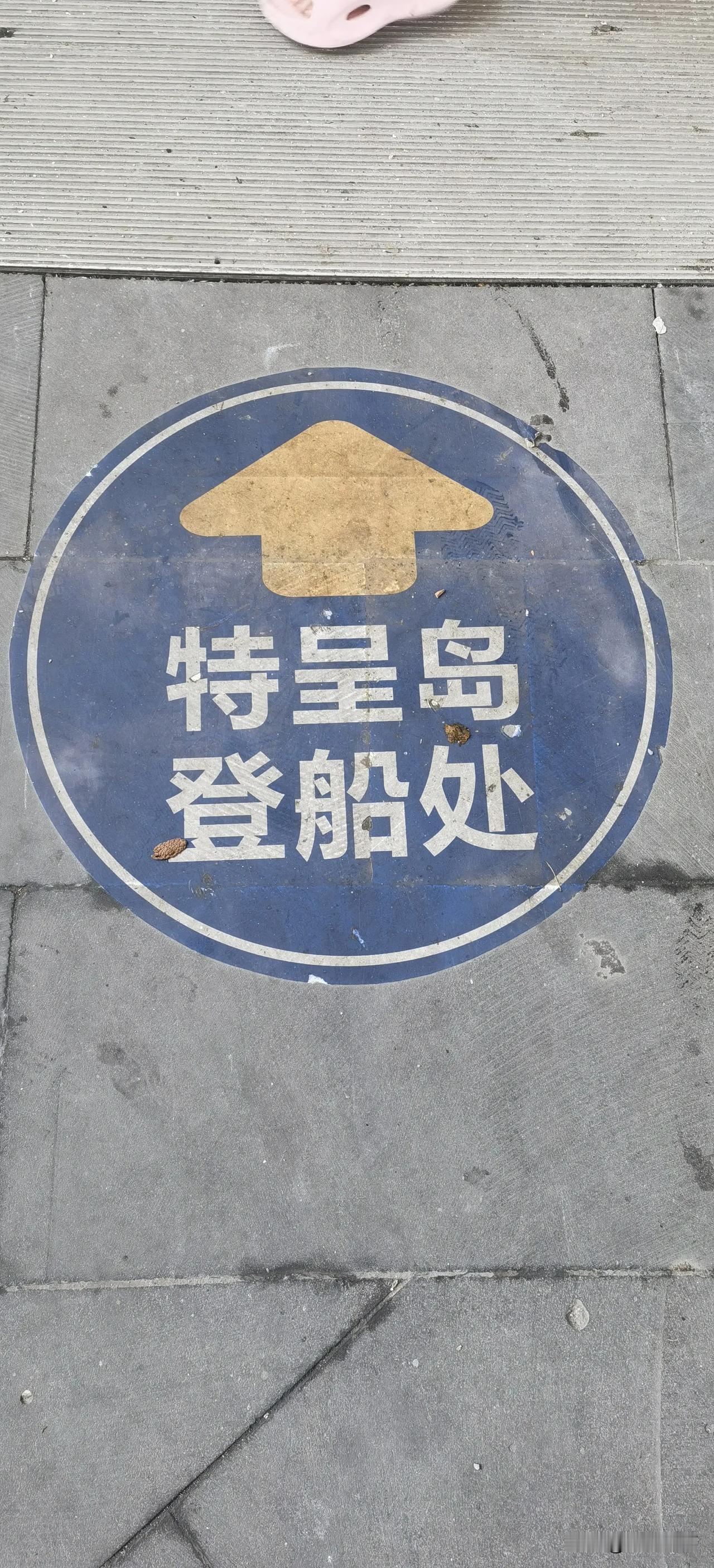 第二天，去特呈岛上赶海，租上一辆电车开一天，风景无敌！