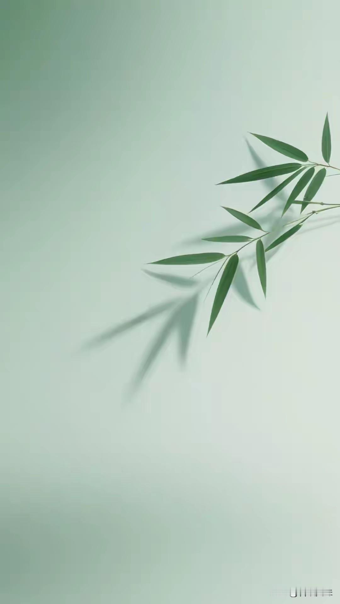 一眼万年，万年一瞬