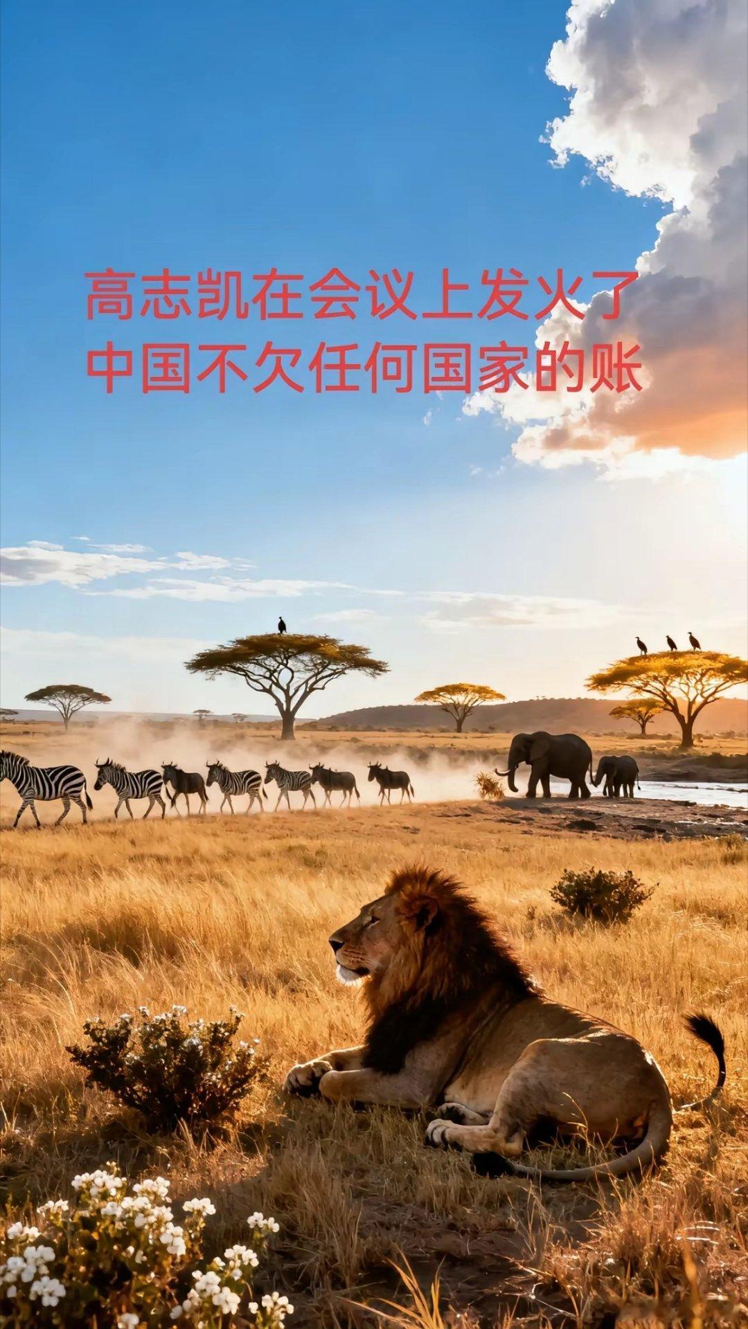 中国不欠任何国家和任何人的。在一次国际会议上，有一个非洲国家的代表突然发难，说中