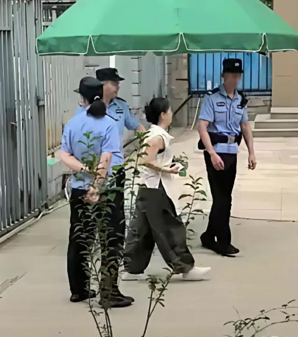 小熊独自一人进了f庭！许姚一身黑衣走上f庭。
熊母在外面等候，杜郭今天很消停，不