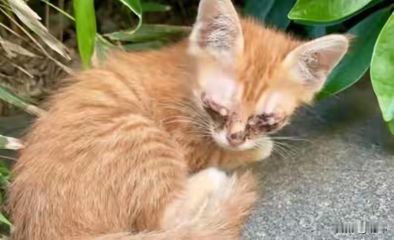 实在太凶残了！这天一位小哥哥去饭店吃夜宵，当他来到饭店附近的时候，他却看到了无比