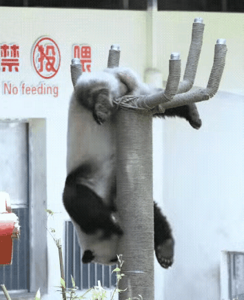 莽小五的狐狸尾巴是不是藏不住了？在不经意间，五阿哥就把自己的真身暴露了，说他是狐