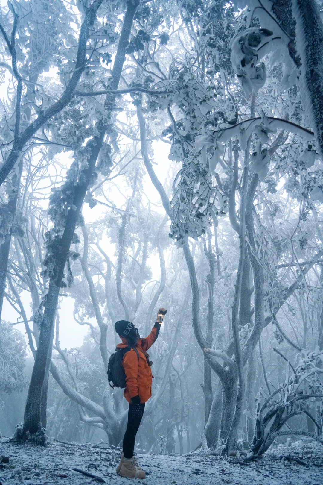 早知道白凿山雾凇这么好看我就不去新疆了