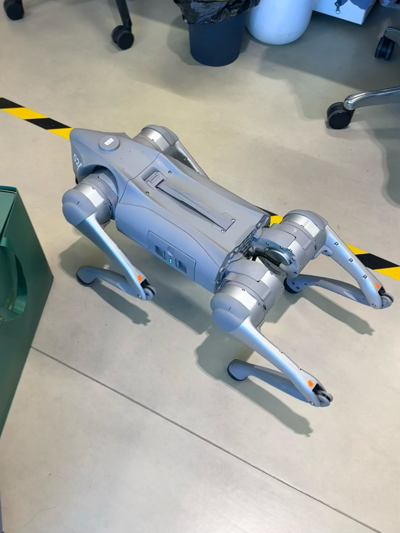 不好，变僵尸狗了