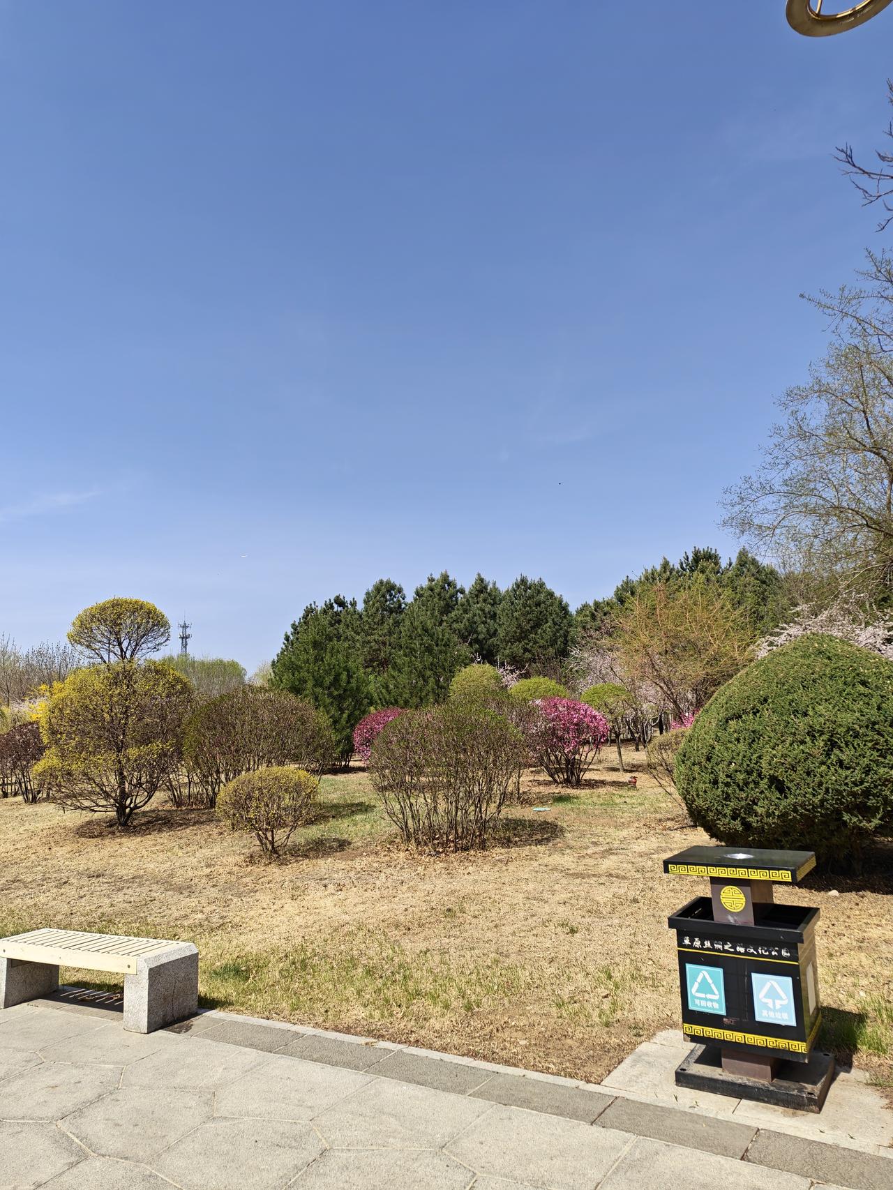 你是那个被别人照顾的人，还是那个照顾别人的人？
小时候我身体不太好，是那个被父母