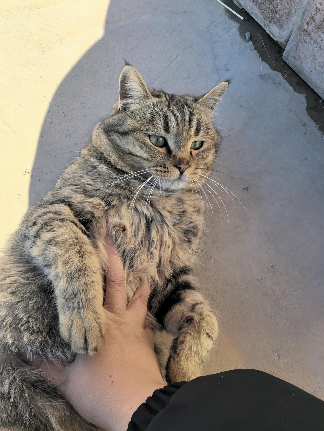 单位“老大”超尽职，每天都率先监督，查看大家有没有在好好工作。