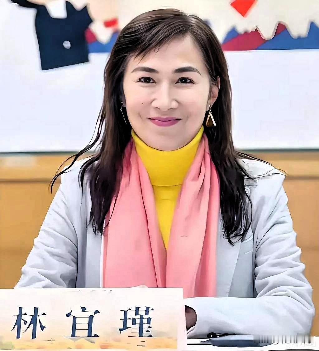 台独分子就是嘴硬！林宜瑾搞“法理台独”被戳穿撤案，还死鸭子嘴硬说“没有成案何来撤