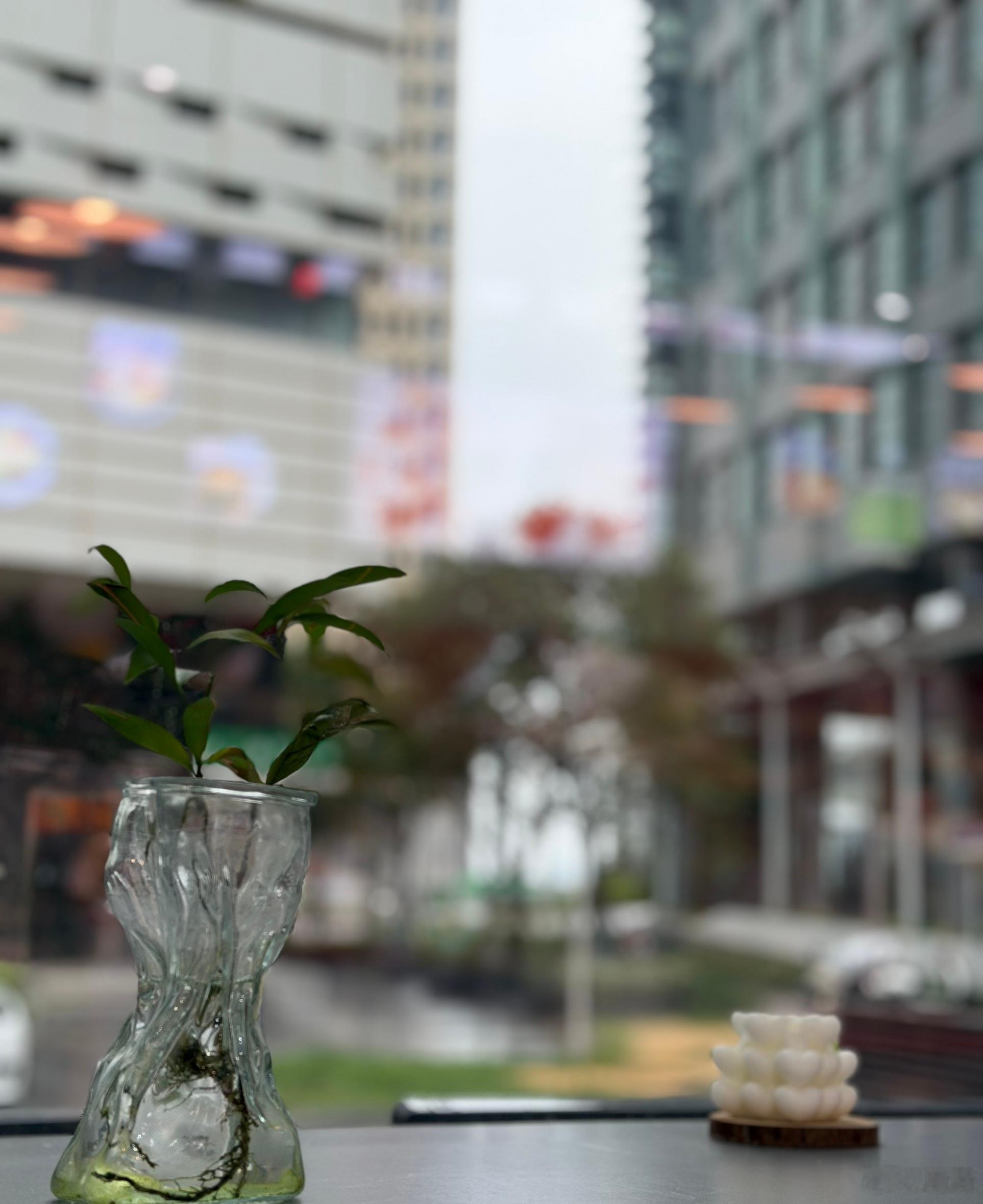 郑州还是阴雨绵绵，这样的天气能把我叫出门的，也就健身教练了。一声召唤我便来了忽然