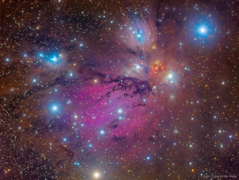 在这幅由宇宙画笔所描绘的经典天体静物画中，被人们称为天使星云的尘埃星云NGC 2
