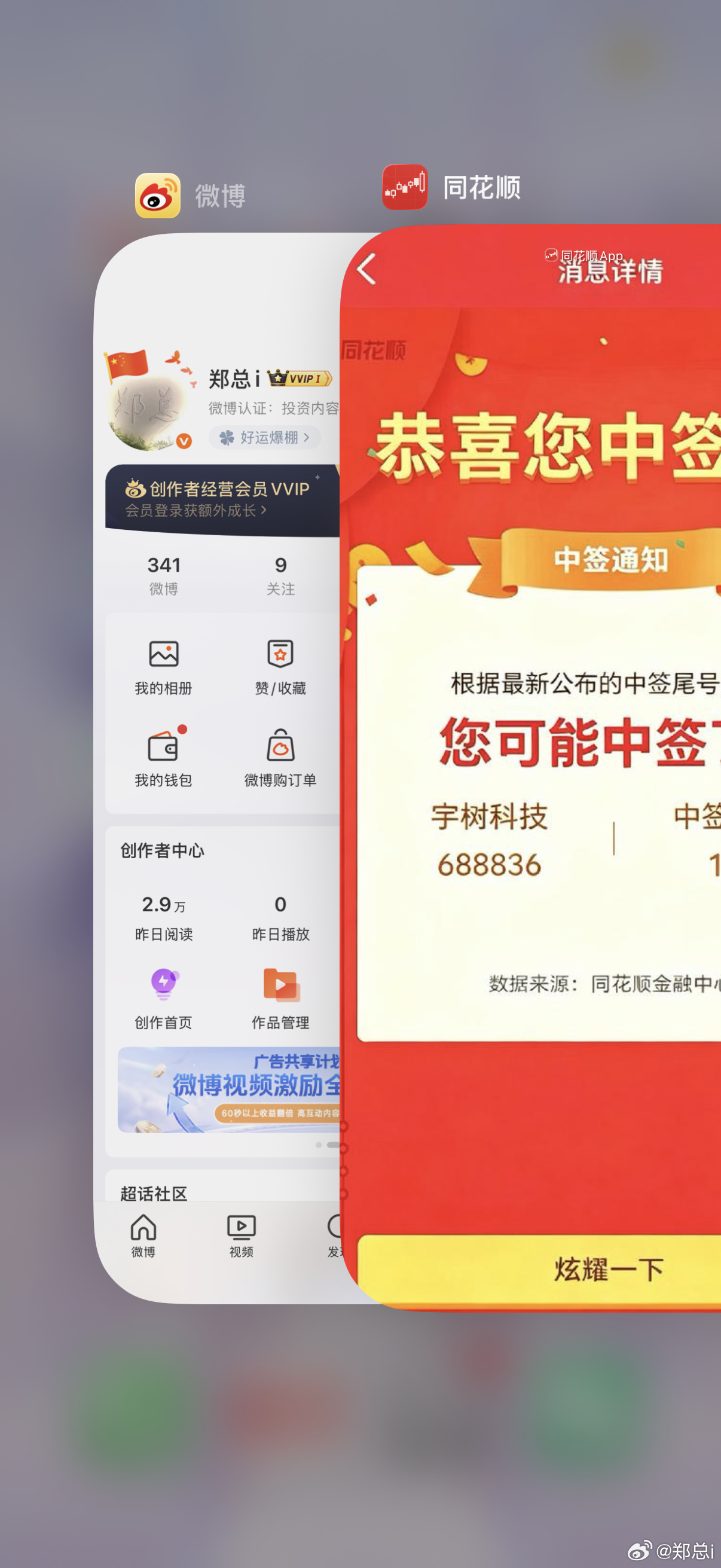 小老弟，怎么回事？宇树科技新股你们中了吗？