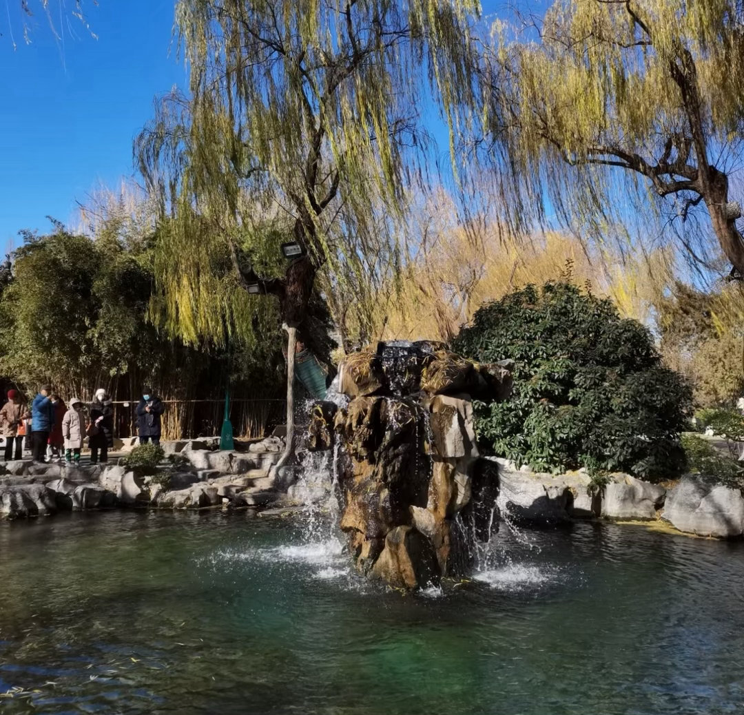 我真的特别愿意给别人推荐山东，这边玩的地方太对我胃口了。爬山看风景就去泰山，一路