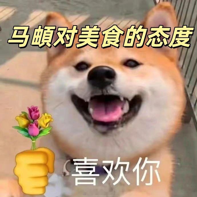 李纯在宁古塔马頔在成都耍 一个在极寒之地渡劫，一个在成都狂吃。马頔听到减肥直接选