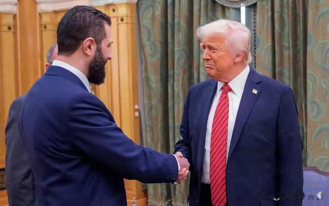 就算是一只藏獒，驯犬师也得花好长时间才能完全制服，可叙利亚反对派政权总统沙拉（朱