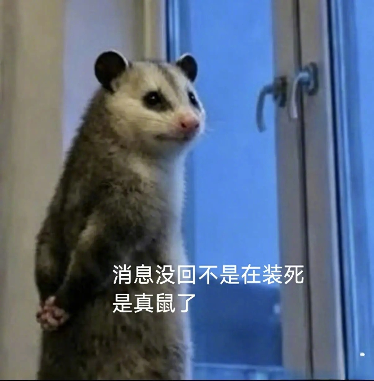 回来了等会先把上期韩游网的活动开奖了，然后再“报复性”发博！